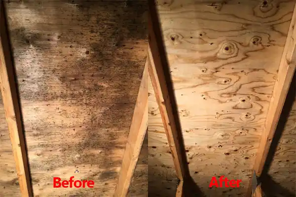 water damage restoration service Chaumont